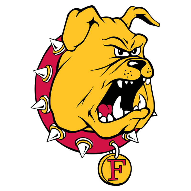 Ferris State Bulldogs iron ons